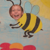Obchody światowego dnia pszczoły