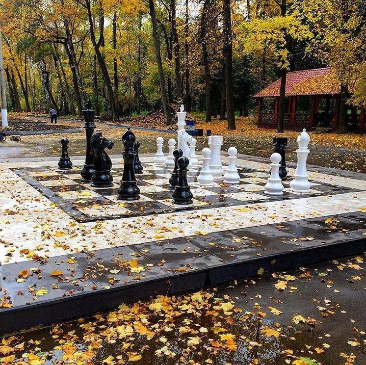 Suckesy zawodników SP71 na turnieju Oława Open Chess Autumn w dniach16-17.09.2017