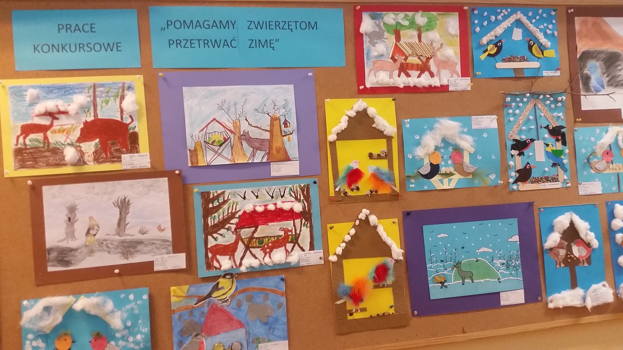 Napisz Trzy Przykłady Jak Można Pomóc Zwierzętom Przetrwać Zimę Konkurs ,,Pomagamy zwierzętom przetrwać zimę” – Szkoła Podstawowa nr 71