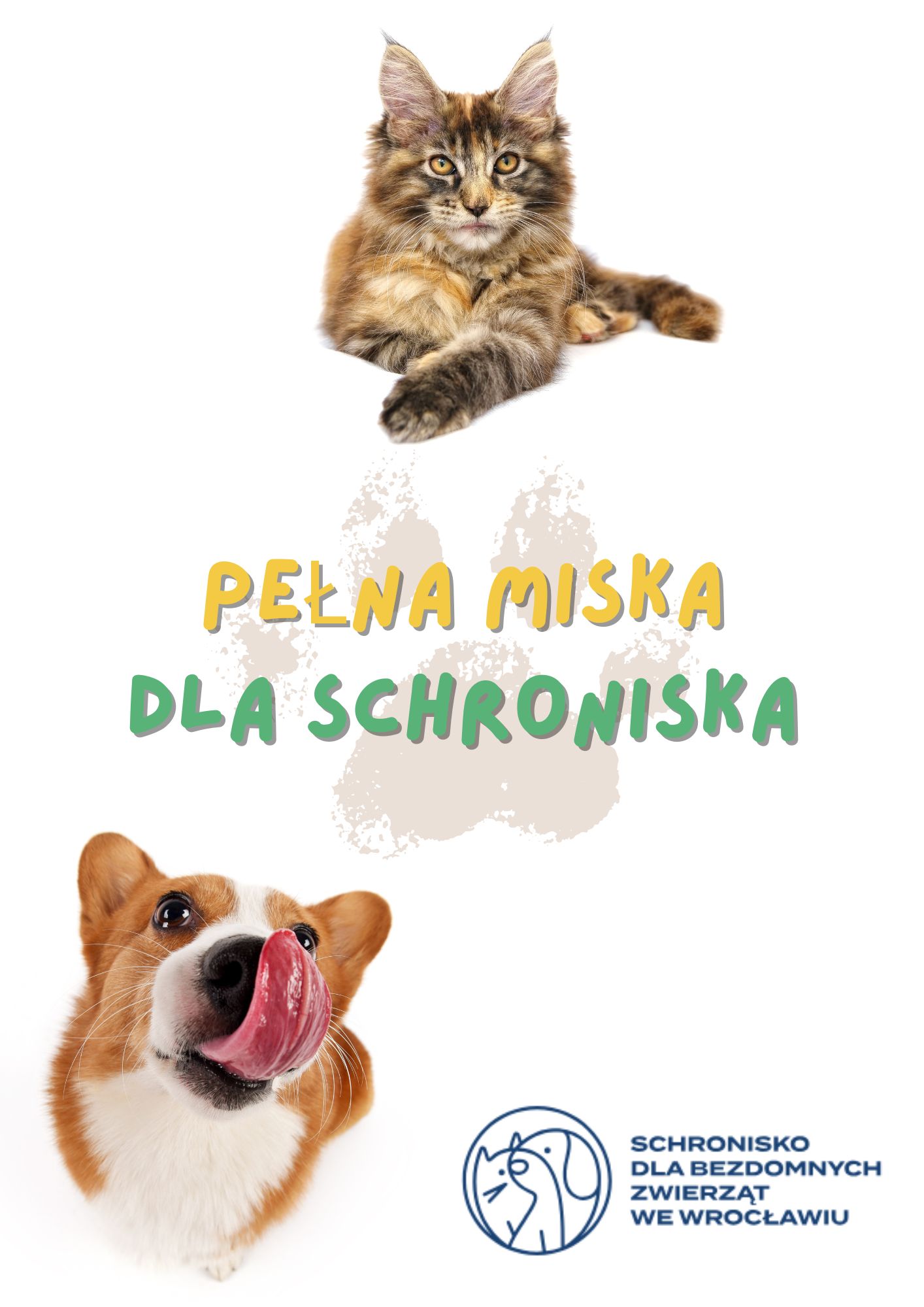 Zbiórka dla zwierząt podczas Festynu 11 czerwca